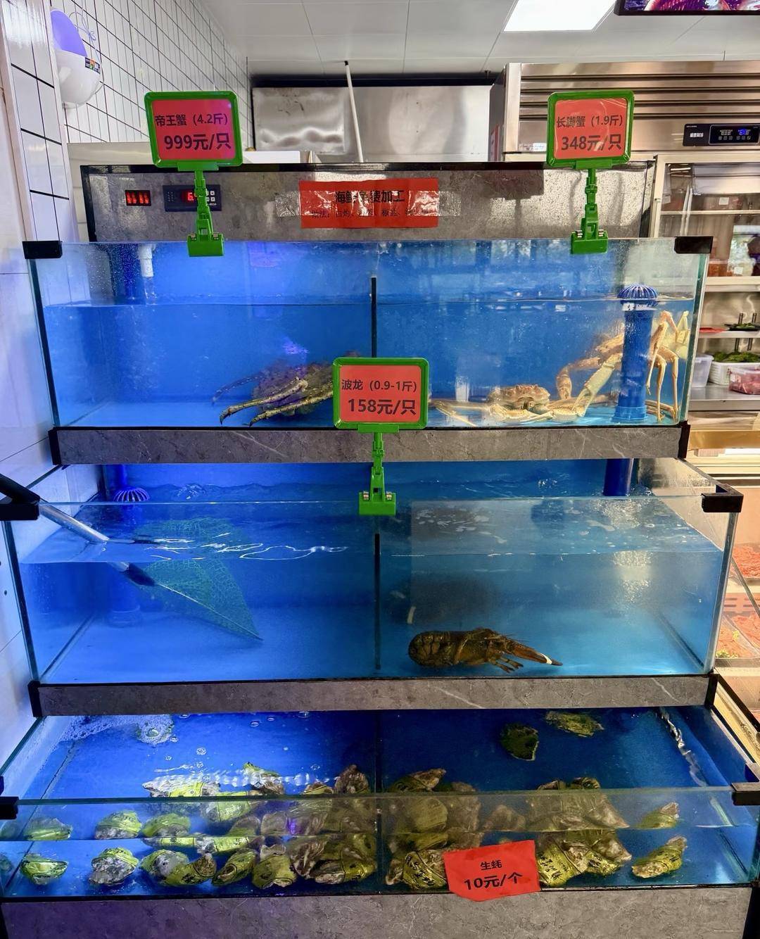 皇冠信用网代理怎么申请
_南京大学食堂推出帝王蟹等海鲜皇冠信用网代理怎么申请
，标价999元一只 学校回应：目前已有同学消费