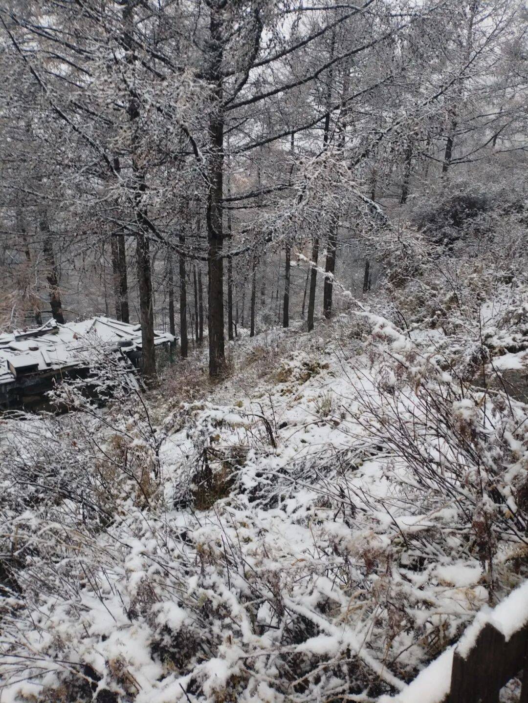 皇冠信用網登1
_石家庄下雪了！河北将迎中到大雪皇冠信用網登1
，未来三天……